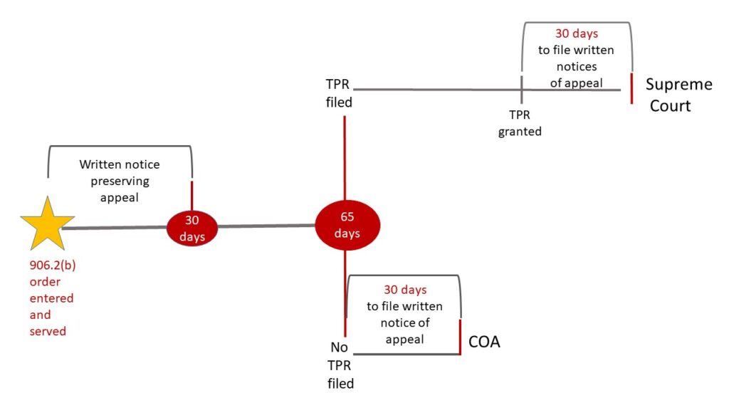 Flowchart of an appellate legal process with the Supreme Court and Court of Appeals, showing filing steps, statuses, and deadlines for notices of appeal.
